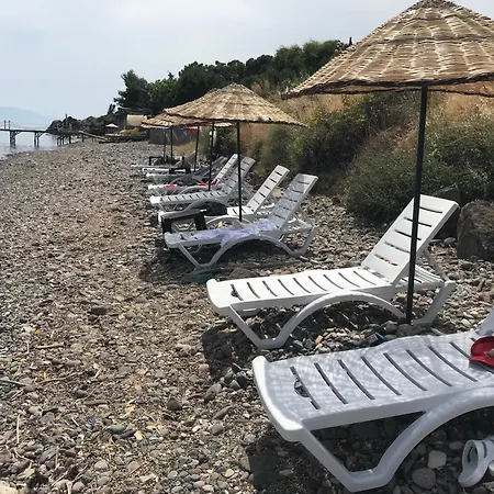 Assos Gardenya Butik