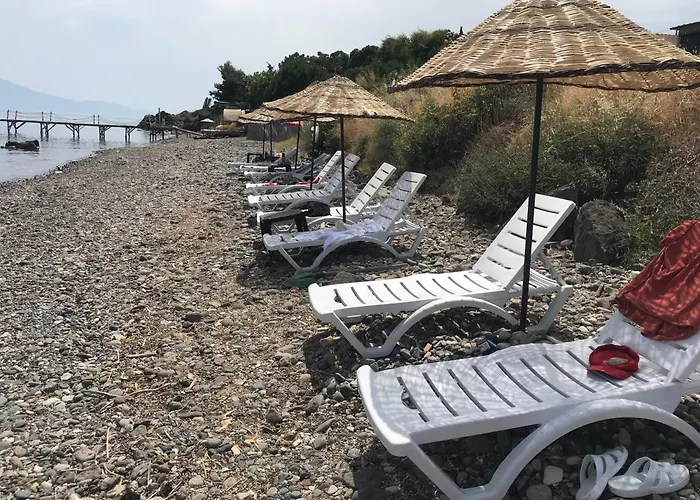 Assos Gardenya Butik