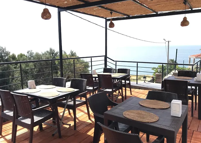 Assos Gardenya Butik